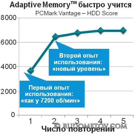 Adaptive Memory