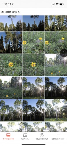 Photos iPhone 231x500 Возможности программного обеспечения Synology NAS DS920+