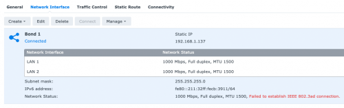 Synology NAS DS920 LinkAggregation 4 500x157 1Гбит + 1Гбит=2 Гбит: Настраиваем Link Aggregation между роутером Asus RT AX89X и Synology NAS DS920+