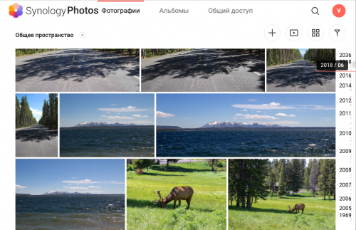 SynologyPhoto browser 500x323 Возможности программного обеспечения Synology NAS DS920+